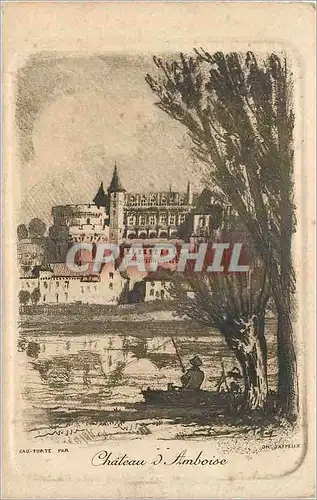 Cartes postales Chateau d'Amboise