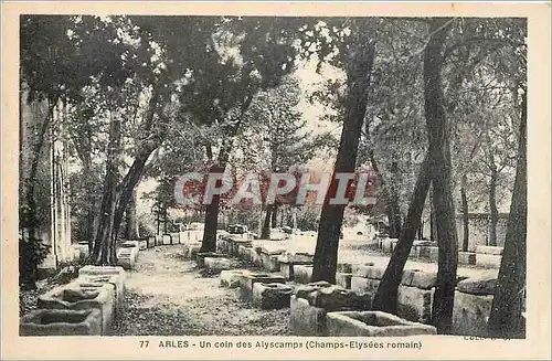 Cartes postales Arles Un coin des Alyscamps Champs Elysees romain