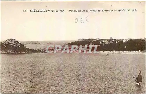 Cartes postales Trebeurden C du N Panorama de la Plage du Tresmeur et du Castel