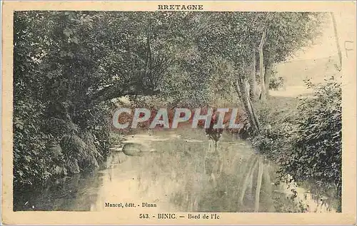 Cartes postales Binic Bord de l'le