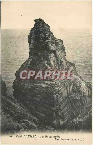 Cartes postales Cap Frehel La Fauconniere