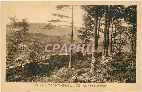 Cartes postales Mont Sainte Odile Le Mur Paien