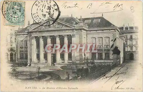 Cartes postales Nantes Le Museum d'Histoire Naturelle