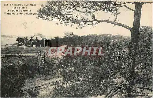 Ansichtskarte AK La Baule sur Mer Loire Inf Les Dunes entre La Plage et le Bois d'Amour