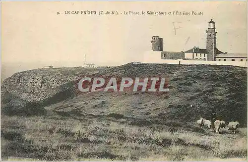 Cartes postales Le Cap Frehel C du N Le Phare le Semaphore et l'Extreme Pointe Berger Moutons