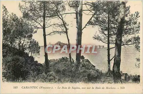 Cartes postales Carantec Finistere Le Bois de Sapins vue sur la Baie de Morlaix