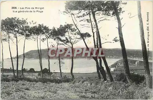 Cartes postales Les Pins de Morgat Vue generale de la Plage