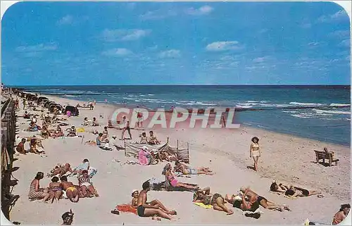 Cartes postales Bathing and Sun Tanning at beautiful Palm Beach Florida