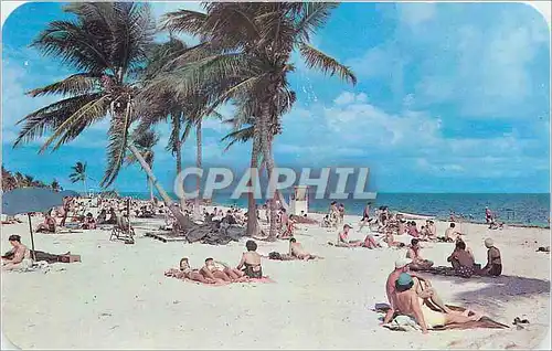 Cartes postales Crandon Park beach A Dade County park installation