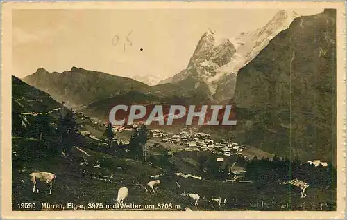 Ansichtskarte AK Murren Eiger und Wetterhorn