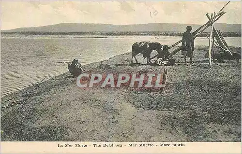 Cartes postales La Mer Morte