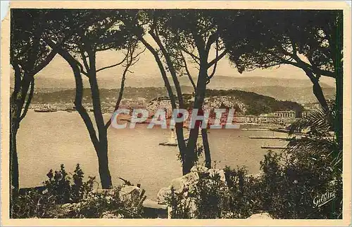 Cartes postales Nice Vue entre les Pins