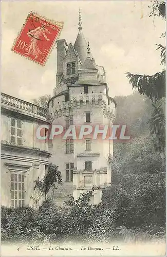 Cartes postales Usse Le Chateau Le Donjon