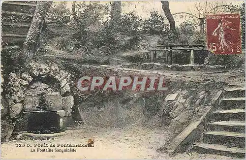 Ansichtskarte AK Foret de Fontainebleau La Fontaine Sanguinede