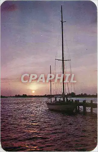 Cartes postales Tropical Sunset in Florida
