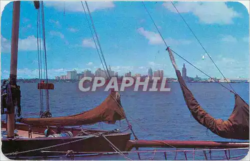 Cartes postales Skyline of Miami Fla