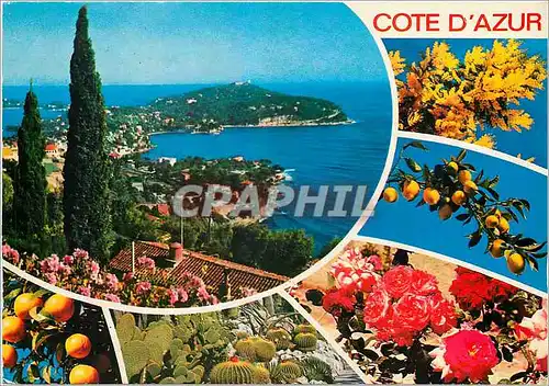 Cartes postales moderne Cote d'Azur French Riviera Vue pittoresque