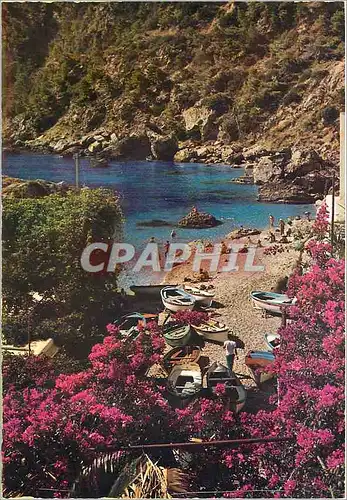 Moderne Karte Capri Enchantement