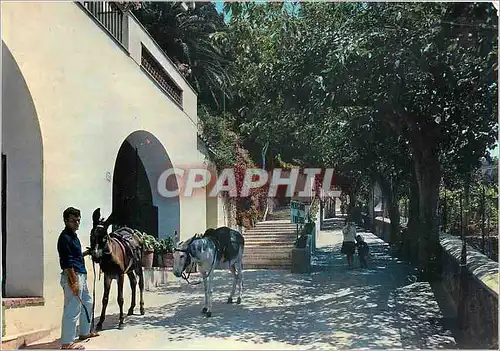 Cartes postales moderne Capri Rue Ctoce