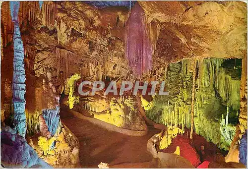 Cartes postales moderne Mallorca Cuevas de Campanet Salle du Palmier