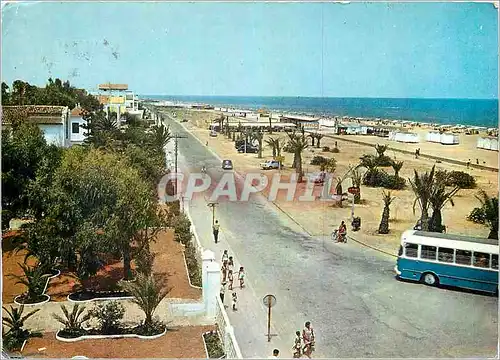 Cartes postales moderne Gandia Plage