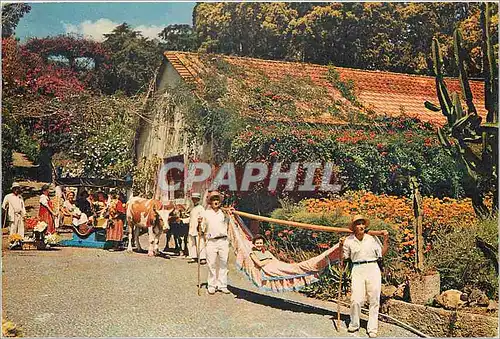 Cartes postales moderne Madeira Carro de Bois e Rede no Miramar Hotel