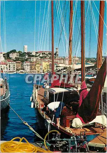 Cartes postales moderne Cannes Un coin du Port vue sur le Suquet Bateau