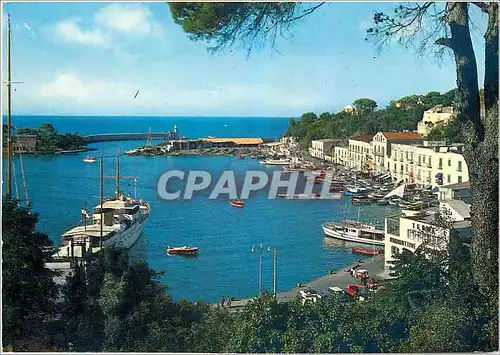 Cartes postales moderne Ischia Le Port