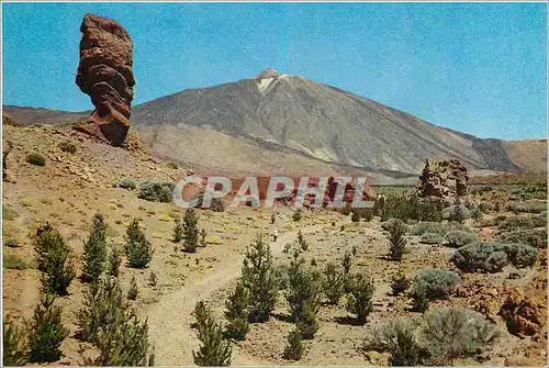 Cartes postales moderne Tenerife Les Canadas et le Teide