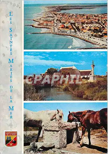 Cartes postales moderne Les Saintes Maries de la Mer