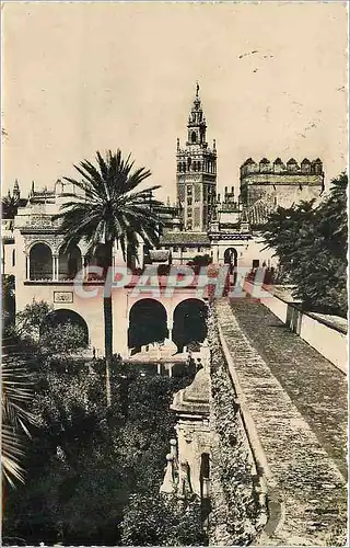 Moderne Karte Sevilla La Giralda