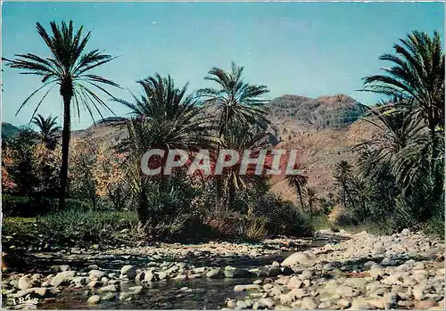 Cartes postales moderne Tafraou La Vallee des Ammeln