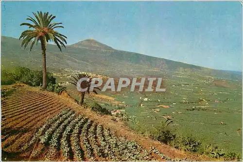 Cartes postales moderne Tenerife Vallee de la Orotava