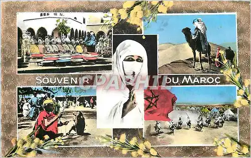 Cartes postales moderne Souvenir du Maroc Chameau Femme Cheval