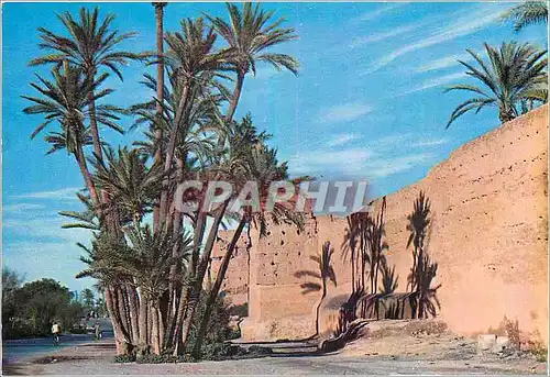 Cartes postales moderne Marrakech Le long des remparts