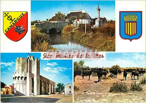 Cartes postales moderne Stes Maries de La Mer Cabanes de Guardians et la Croix de Felibres L'Eglise forteresse Taureau