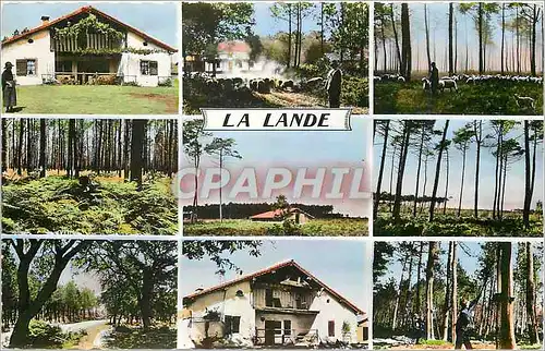 Cartes postales moderne La Lande La Ferme Berger Landais