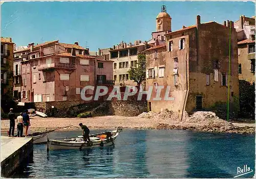 Cartes postales moderne Saint Tropez Var La Pouncho