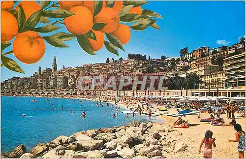 Cartes postales moderne Menton La Vieille Ville et la Plage des Sablettes