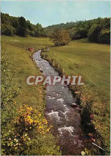 Cartes postales moderne Le Morvan Pittoresque Eaux vives dans la douce nature