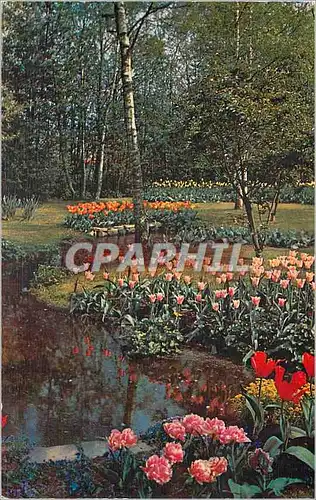 Cartes postales moderne De Bloemenvelden in Bloei