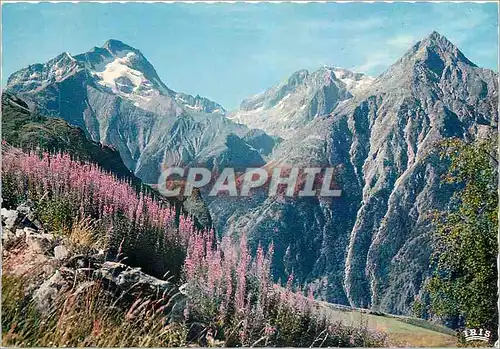 Moderne Karte Les Belles Alpes Fleuries