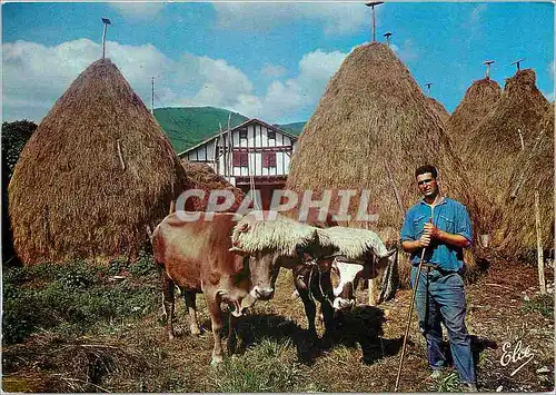 Cartes postales moderne Pays Basques Un typique attelage Basque devant la reserve de foin