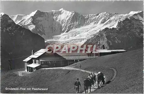 Cartes postales moderne Grindelwald First mit Flescherwand