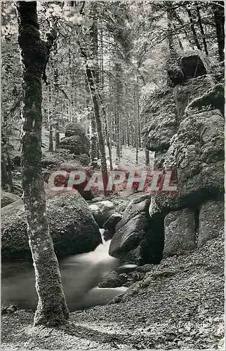 Cartes postales moderne Le Huelgoat Finistere La Mare aux angliers