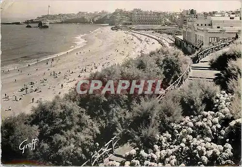 Moderne Karte Biarritz Basses Pyrenees La Grande Plage