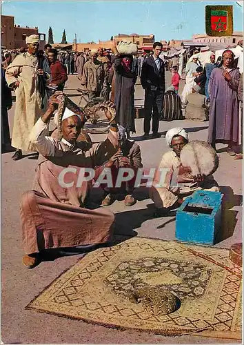 Cartes postales moderne Maroc Typique Encantador de serpientes Serpent