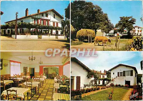 Cartes postales moderne Ibarron St Pee s Nivelle L'Hotel du Fronton