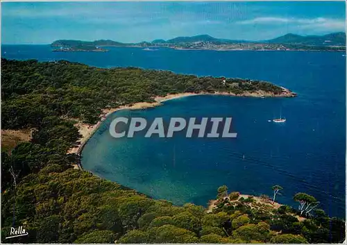 Cartes postales moderne Ile de Porquerolles Var Vue aerienne de la Plage d'Argent