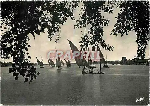 Cartes postales moderne Cairo Nile View